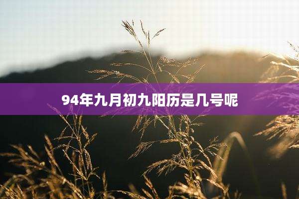 94年九月初九阳历是几号呢