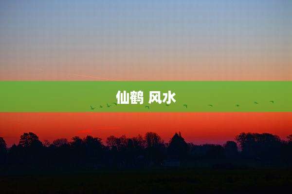 仙鹤 风水