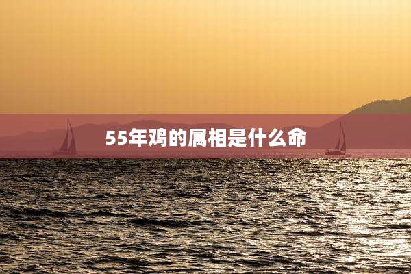 55年鸡的属相是什么命