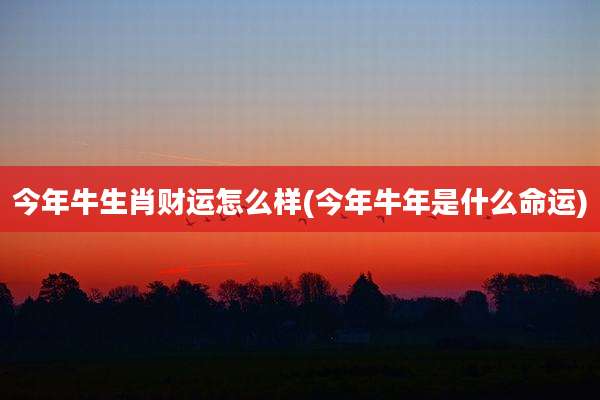 今年牛生肖财运怎么样(今年牛年是什么命运)