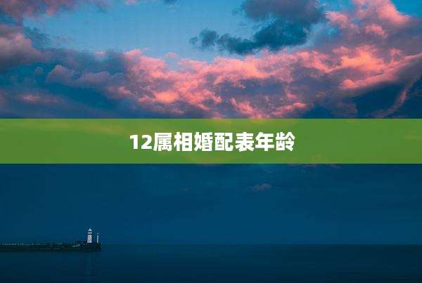 12属相婚配表年龄