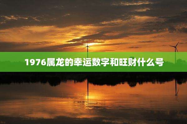 1976属龙的幸运数字和旺财什么号