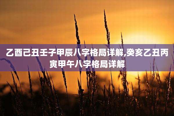 乙酉己丑壬子甲辰八字格局详解,癸亥乙丑丙寅甲午八字格局详解
