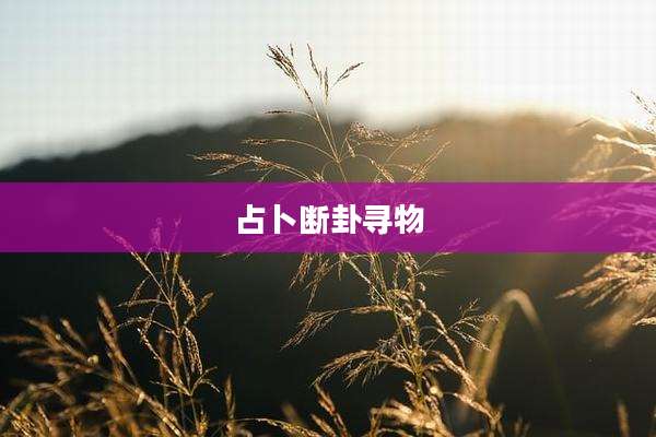 占卜断卦寻物