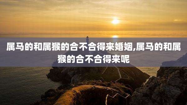 属马的和属猴的合不合得来婚姻,属马的和属猴的合不合得来呢