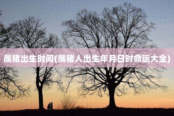 属猪出生时间(属猪人出生年月日时命运大全)