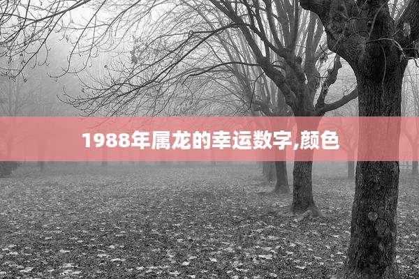 1988年属龙的幸运数字,颜色