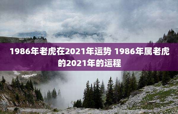 1986年老虎在2021年运势 1986年属老虎的2021年的运程