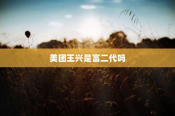 美团王兴是富二代吗