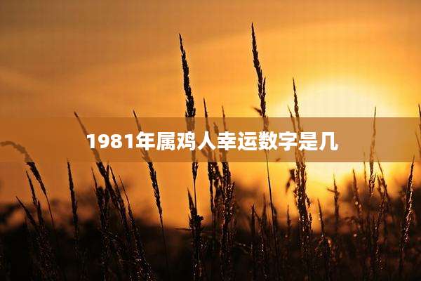 1981年属鸡人幸运数字是几