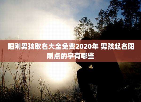 阳刚男孩取名大全免费2020年 男孩起名阳刚点的字有哪些