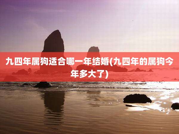 九四年属狗适合哪一年结婚(九四年的属狗今年多大了)