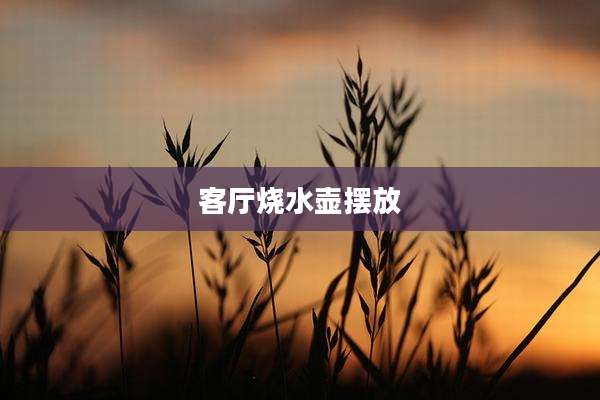 客厅烧水壶摆放