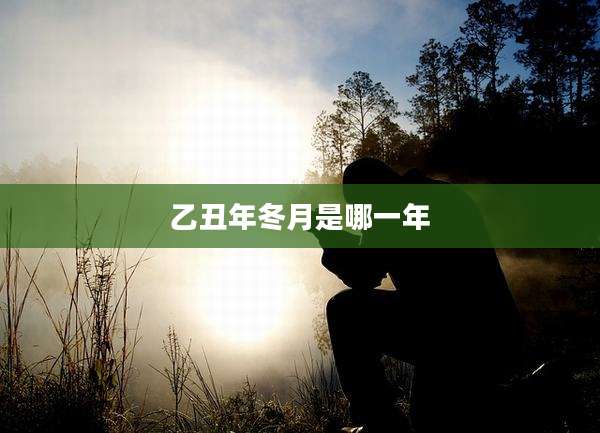 乙丑年冬月是哪一年