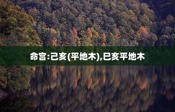 命宫:己亥(平地木),巳亥平地木