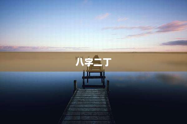 八字二丁