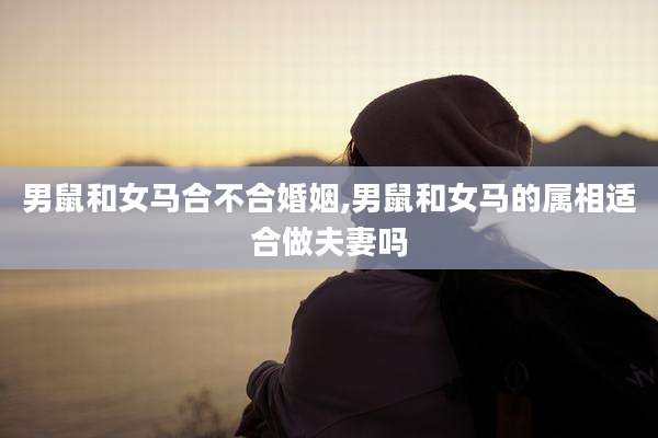 男鼠和女马合不合婚姻,男鼠和女马的属相适合做夫妻吗