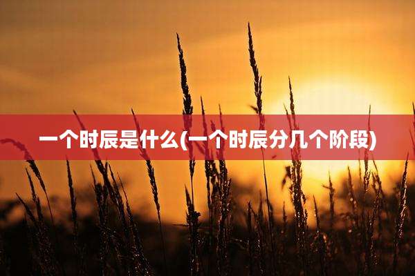一个时辰是什么(一个时辰分几个阶段)