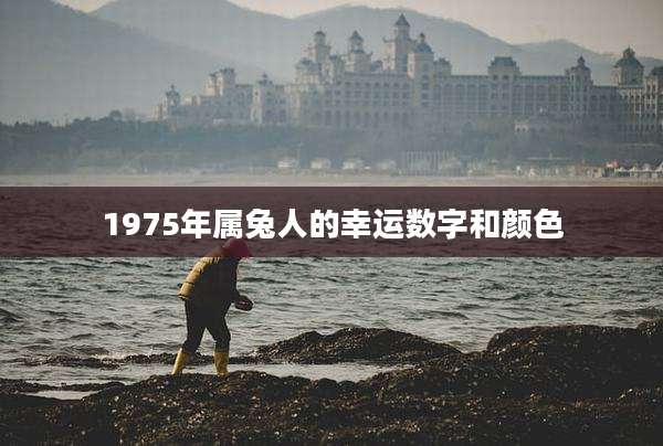 1975年属兔人的幸运数字和颜色