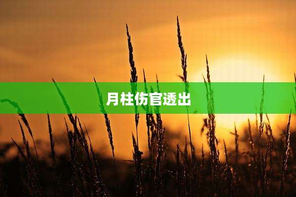 月柱伤官透出