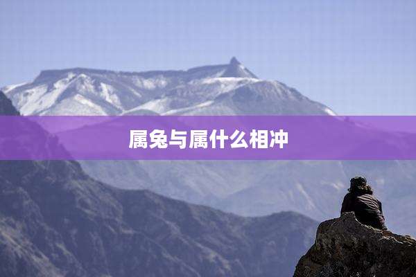 属兔与属什么相冲