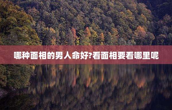 哪种面相的男人命好?看面相要看哪里呢