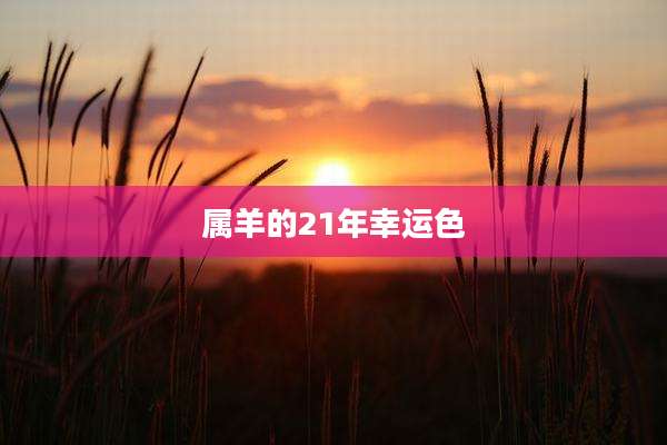 属羊的21年幸运色