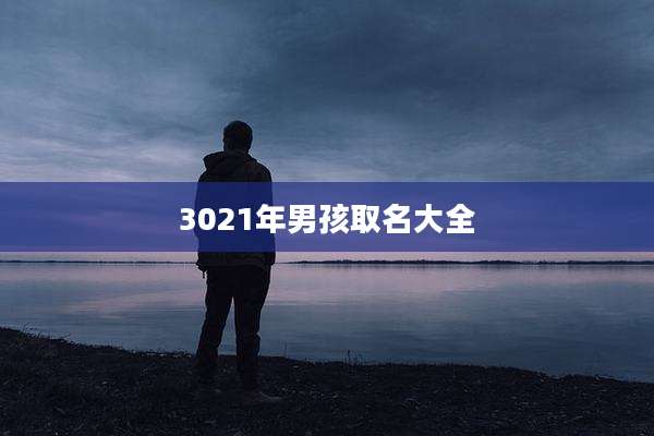 3021年男孩取名大全