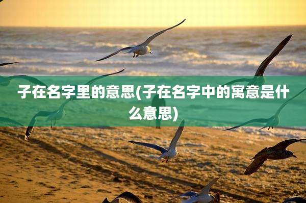 子在名字里的意思(子在名字中的寓意是什么意思)