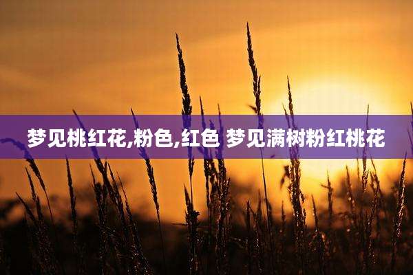 梦见桃红花,粉色,红色 梦见满树粉红桃花