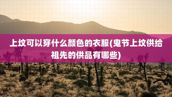 上坟可以穿什么颜色的衣服(鬼节上坟供给祖先的供品有哪些)