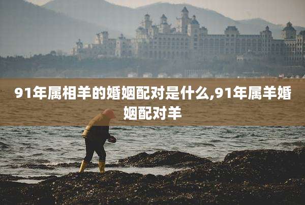 91年属相羊的婚姻配对是什么,91年属羊婚姻配对羊