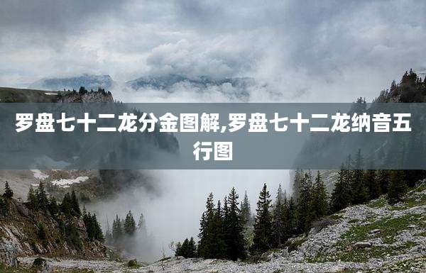 罗盘七十二龙分金图解,罗盘七十二龙纳音五行图