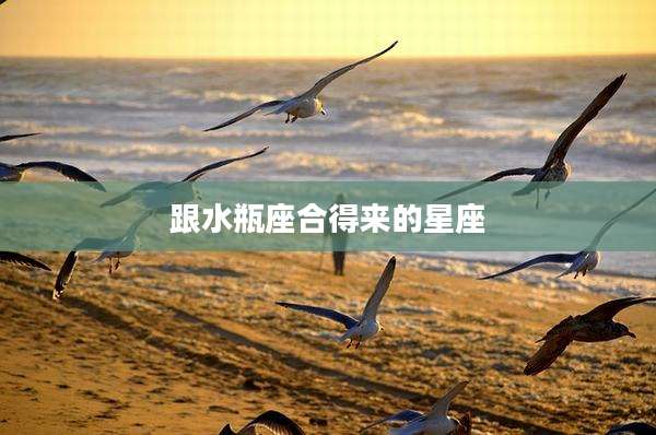 跟水瓶座合得来的星座