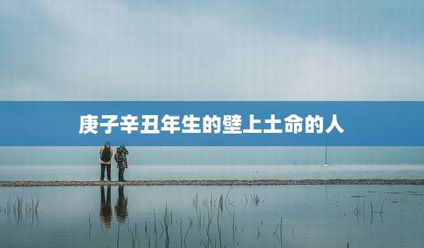 庚子辛丑年生的壁上土命的人