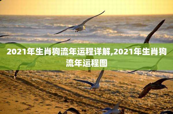 2021年生肖狗流年运程详解,2021年生肖狗流年运程图