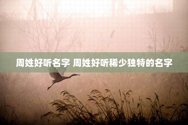 周姓好听名字 周姓好听稀少独特的名字