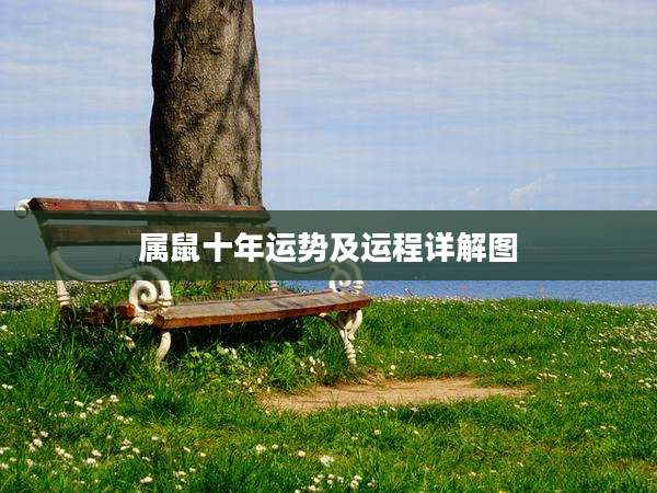 属鼠十年运势及运程详解图