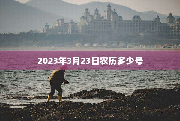 2023年3月23日农历多少号