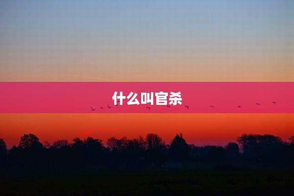 什么叫官杀
