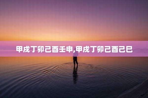 甲戌丁卯己酉壬申,甲戌丁卯己酉己巳