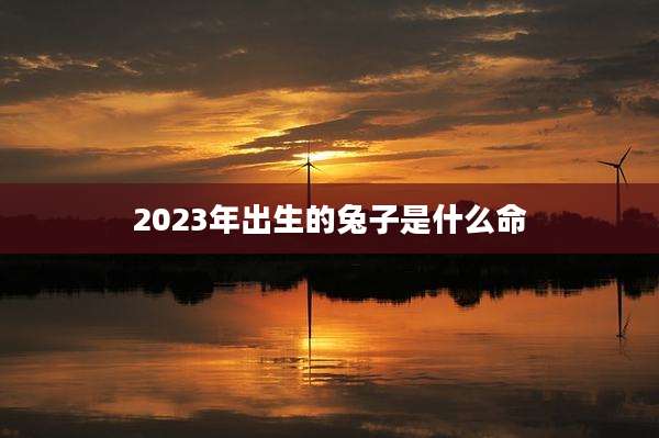 2023年出生的兔子是什么命