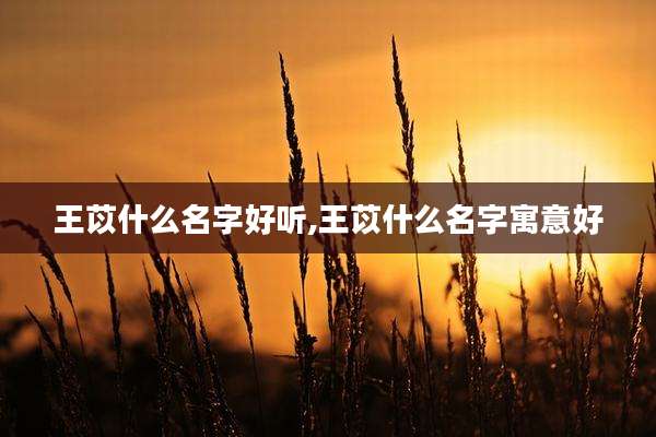 王苡什么名字好听,王苡什么名字寓意好