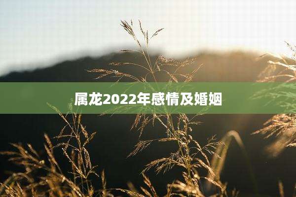 属龙2022年感情及婚姻