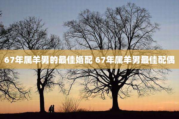 67年属羊男的最佳婚配 67年属羊男最佳配偶