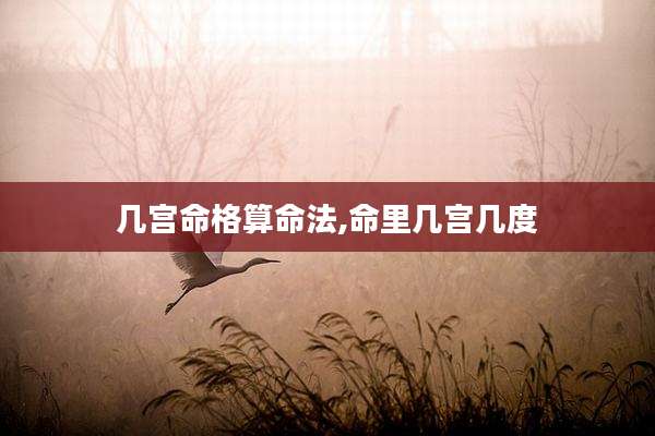 几宫命格算命法,命里几宫几度