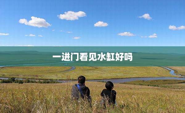 一进门看见水缸好吗
