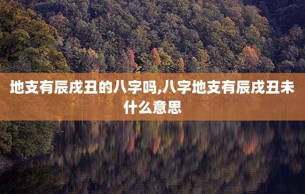 地支有辰戌丑的八字吗,八字地支有辰戌丑未什么意思