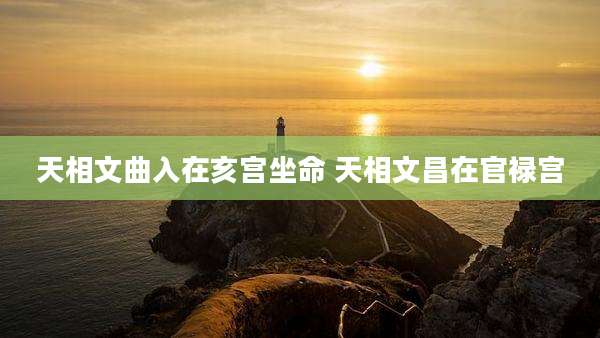 天相文曲入在亥宫坐命 天相文昌在官禄宫
