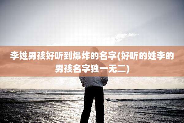 李姓男孩好听到爆炸的名字(好听的姓李的男孩名字独一无二)